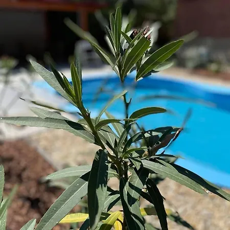 度假居 Kovacs Kunfeherto